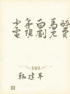 少年白马醉春风电视剧免费看全集封面