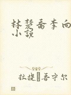 林楚乔李向南的小说