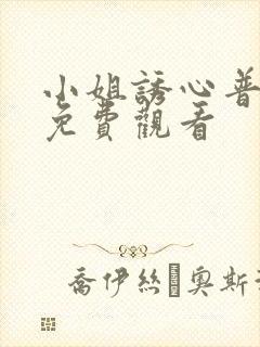 小姐诱心普通话免费观看封面