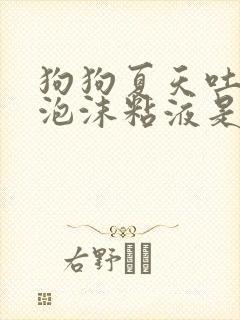 狗狗夏天吐黄色泡沫粘液是什么原因