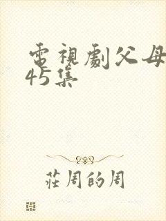 电视剧父母爱情45集