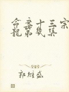 命案十三宗于启龙第几集