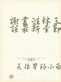 谢书淮林玉禾小说最新章节