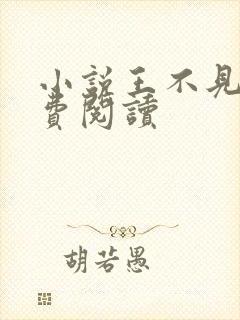 小说王不见王免费阅读