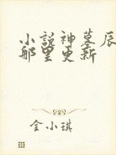 小说神墓辰东在那里更新