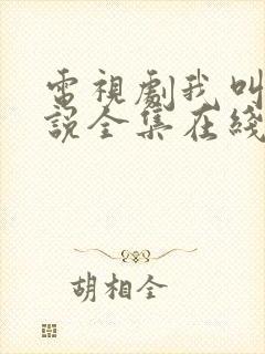 电视剧我叫刘传说全集在线观看