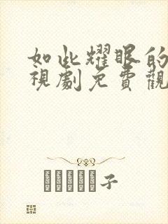 如此耀眼的你电视剧免费观看全集封面