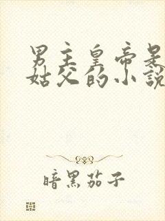 男主皇帝是女主姑父的小说