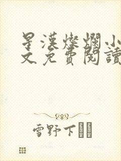 星汉灿烂小说全文免费阅读封面