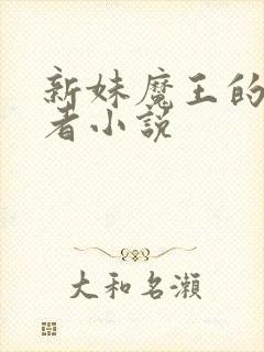 新妹魔王的契约者小说