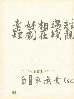 幸好相遇离婚时短剧在线观看