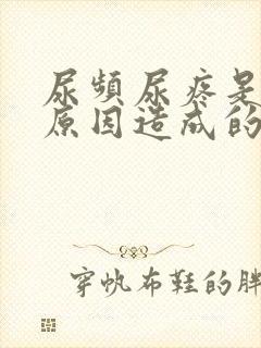 尿频尿疼是什么原因造成的