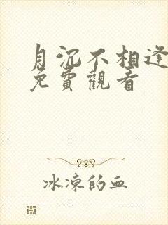 月沉不相逢短剧免费观看