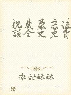 祝岁盈宋流景小说全文免费阅读最新