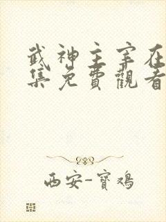 武神主宰在线全集免费观看