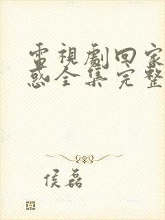 电视剧回家的诱惑全集完整版免费观看