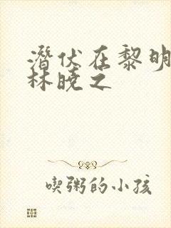 潜伏在黎明之前林晓之