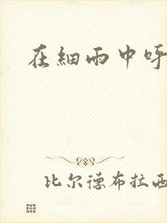 在细雨中呼喊