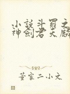 小说斗罗之灵珠神剑君天麟免费阅读全文作者封面