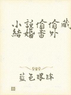 小说偷偷藏不住结婚番外