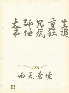 大师兄重生后师弟他疯狂追妻无删减版小说封面