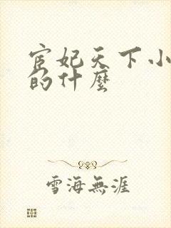 宦妃天下小说讲的什么封面