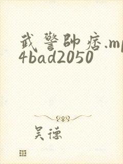武警帅痞.mp4bad2050
