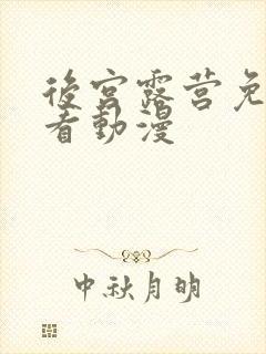 后宫露营免费观看动漫封面