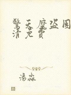 惊天魔盗团2高清免费