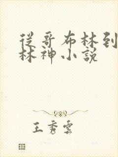 从哥布林到哥布林神小说