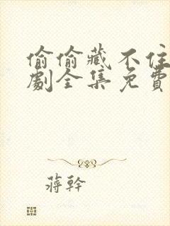 偷偷藏不住广播剧全集免费