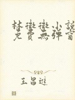 林微微小说阅读免费无弹窗