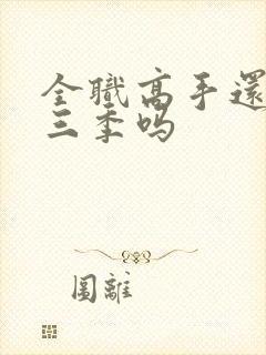 全职高手还有第三季吗