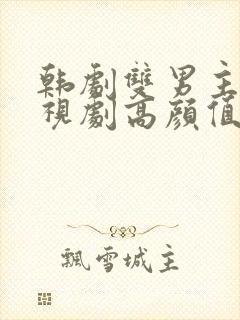 韩剧双男主的电视剧高颜值封面