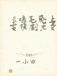 《鸡毛飞上天》电视剧免费观看