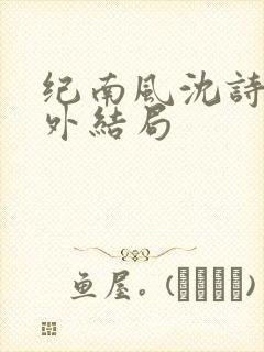 纪南风沈诗澜番外结局