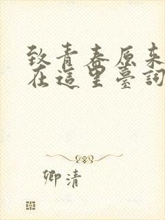 致青春原来你还在这里台词