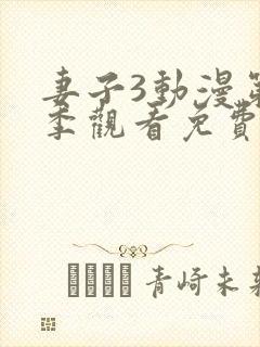 妻子3动漫第三季观看免费观看封面