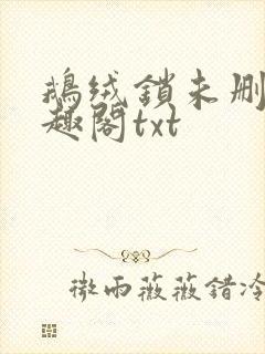 鹅绒锁未删除笔趣阁txt