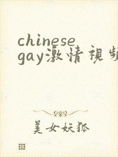 chinesegay激情视频封面
