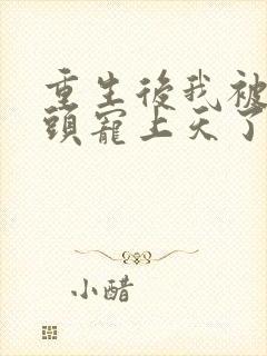 重生后我被死对头宠上天了把