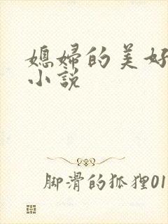 媳妇的美好时代小说封面