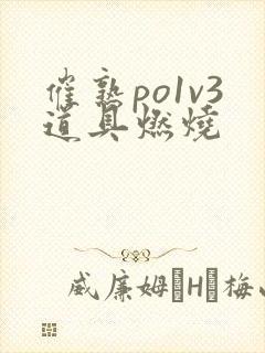 催熟po1v3道具燃烧封面