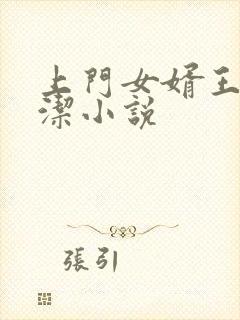 上门女婿王浩李洁小说