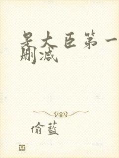 是大臣第一季未删减封面