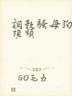 调教骚母狗在线视频封面