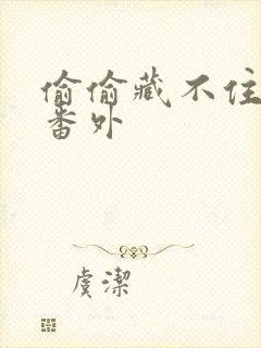 偷偷藏不住结婚番外