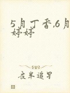 5月丁香,6月婷婷封面