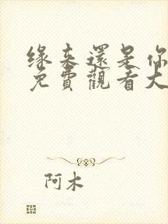 缘来还是你短剧免费观看大结局