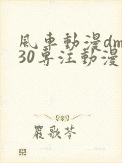 风车动漫dm530专注动漫的门户网站封面